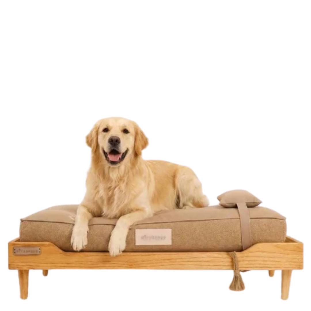Beds & Furniture