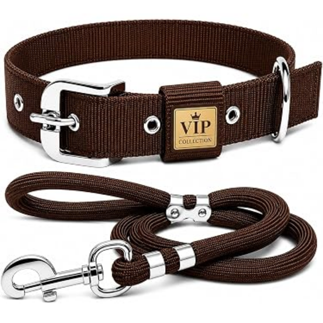 Collars, Harnesses & Leashes