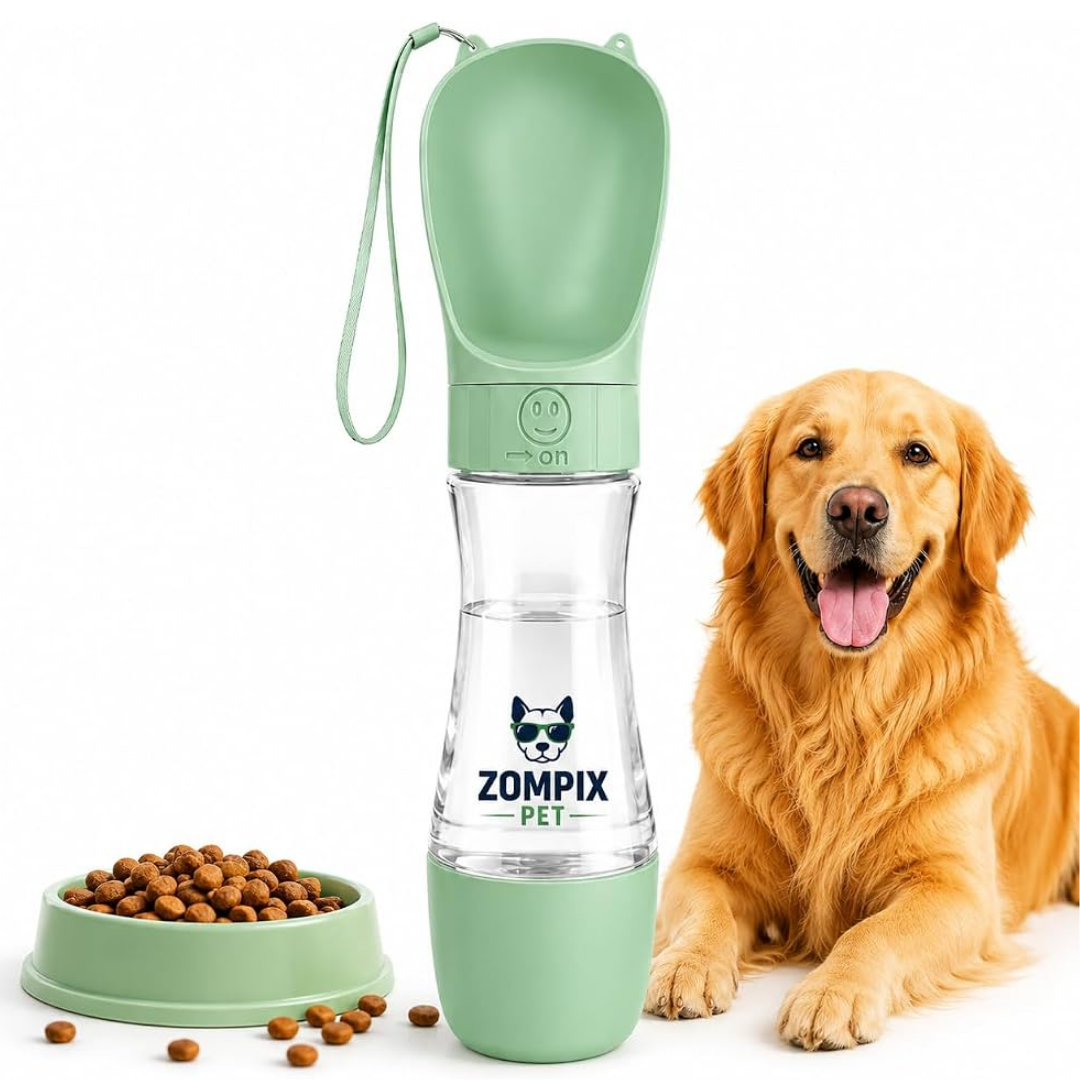 Feeding & Accessories