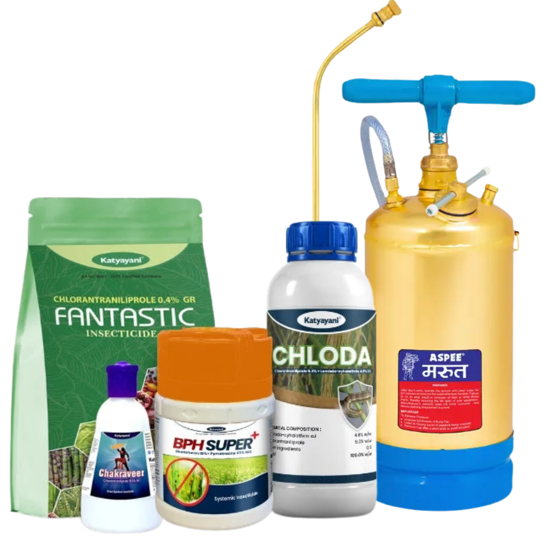 Pest Control & Insecticides