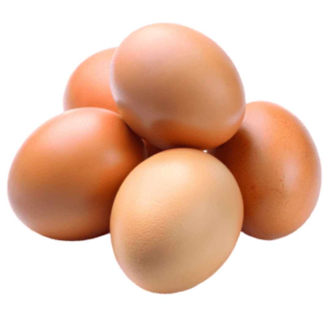 Egg