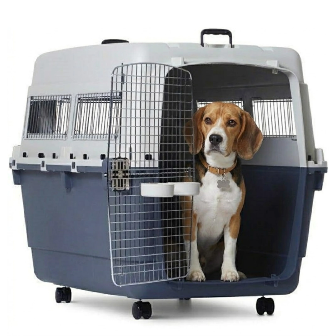 Travel & Carriers